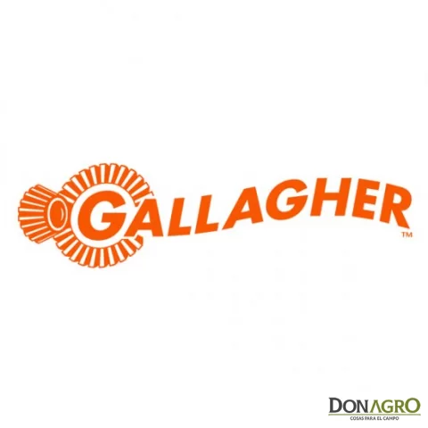 Voltimetro Digital Gallagher