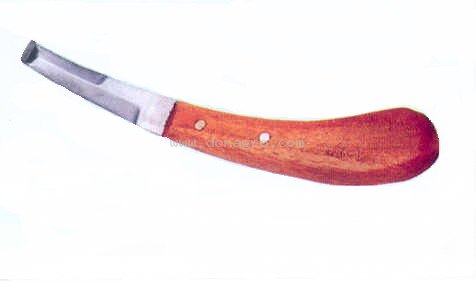 Gubia