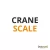 CRANE SCALE