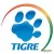 Tigre