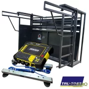 Balanza completa RINGO 3000 kgrs + TRUTEST JR5000