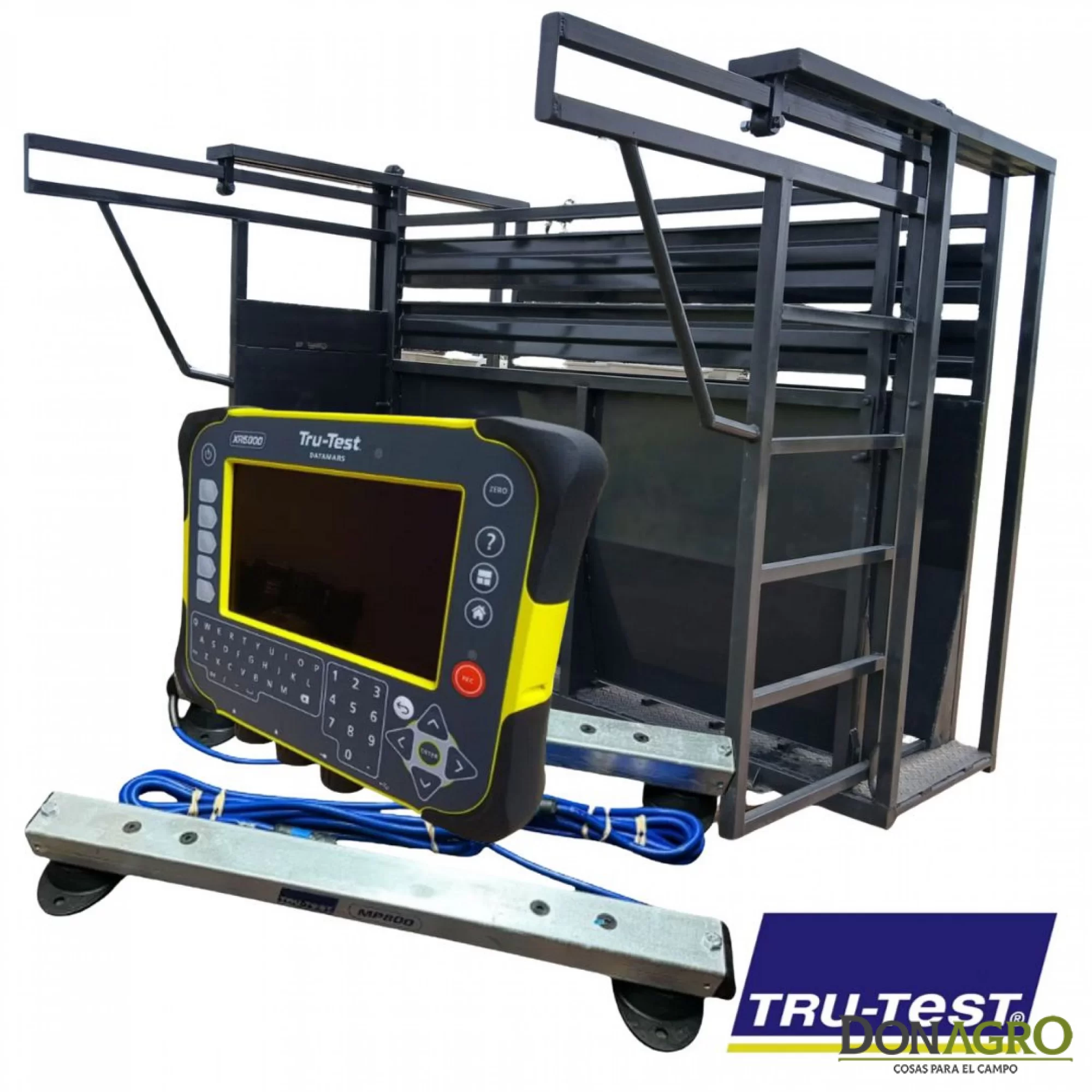 Balanza completa RINGO 3000 kgrs + TRUTEST XR5000