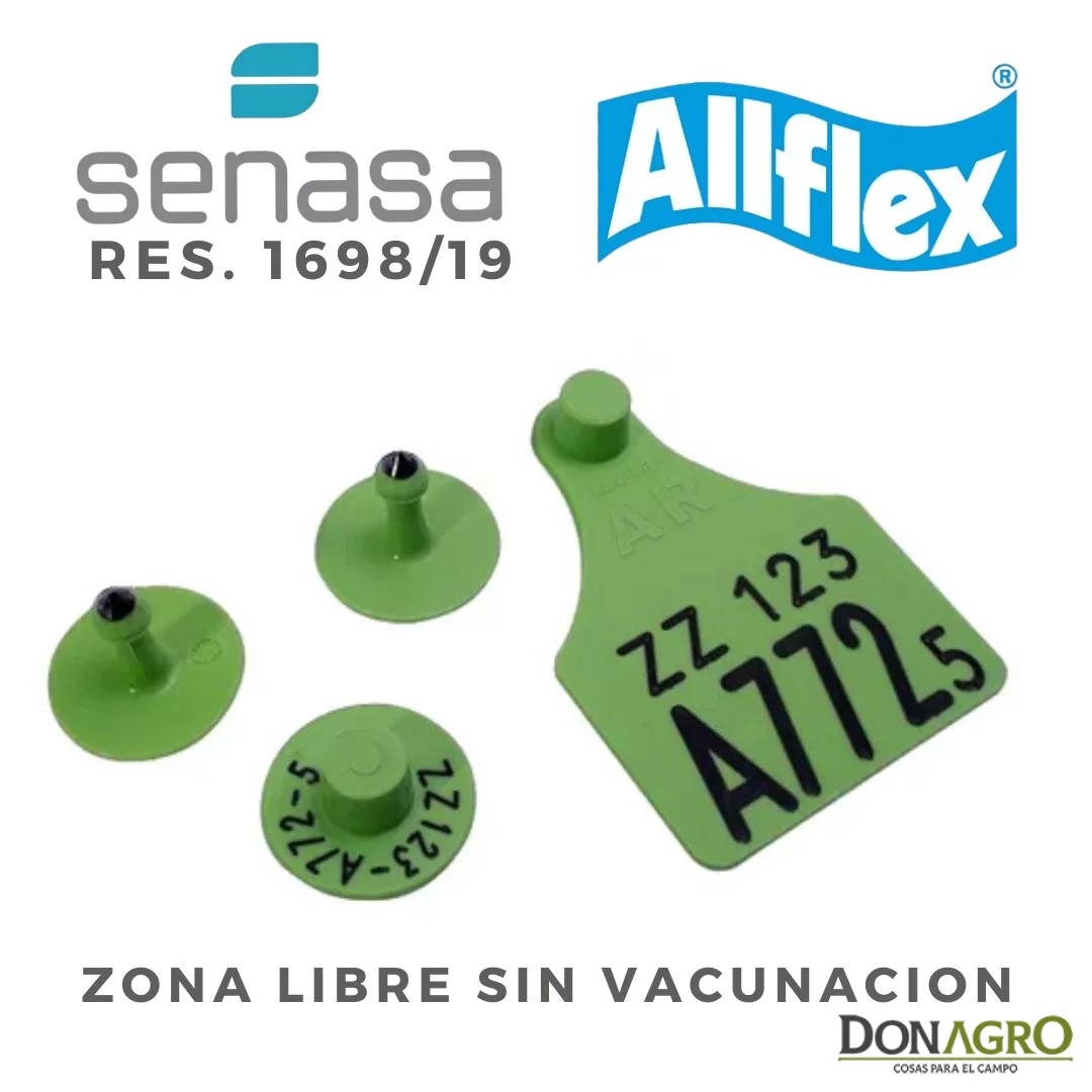 Caravana Oficial Conjunto SENASA  (x 25 Unid.) VERDE