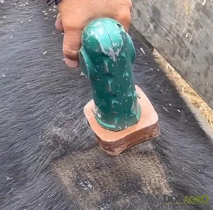 Marca para hacienda 12 volts LANCE