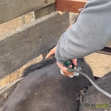 Marca para hacienda 12 volts LANCE
