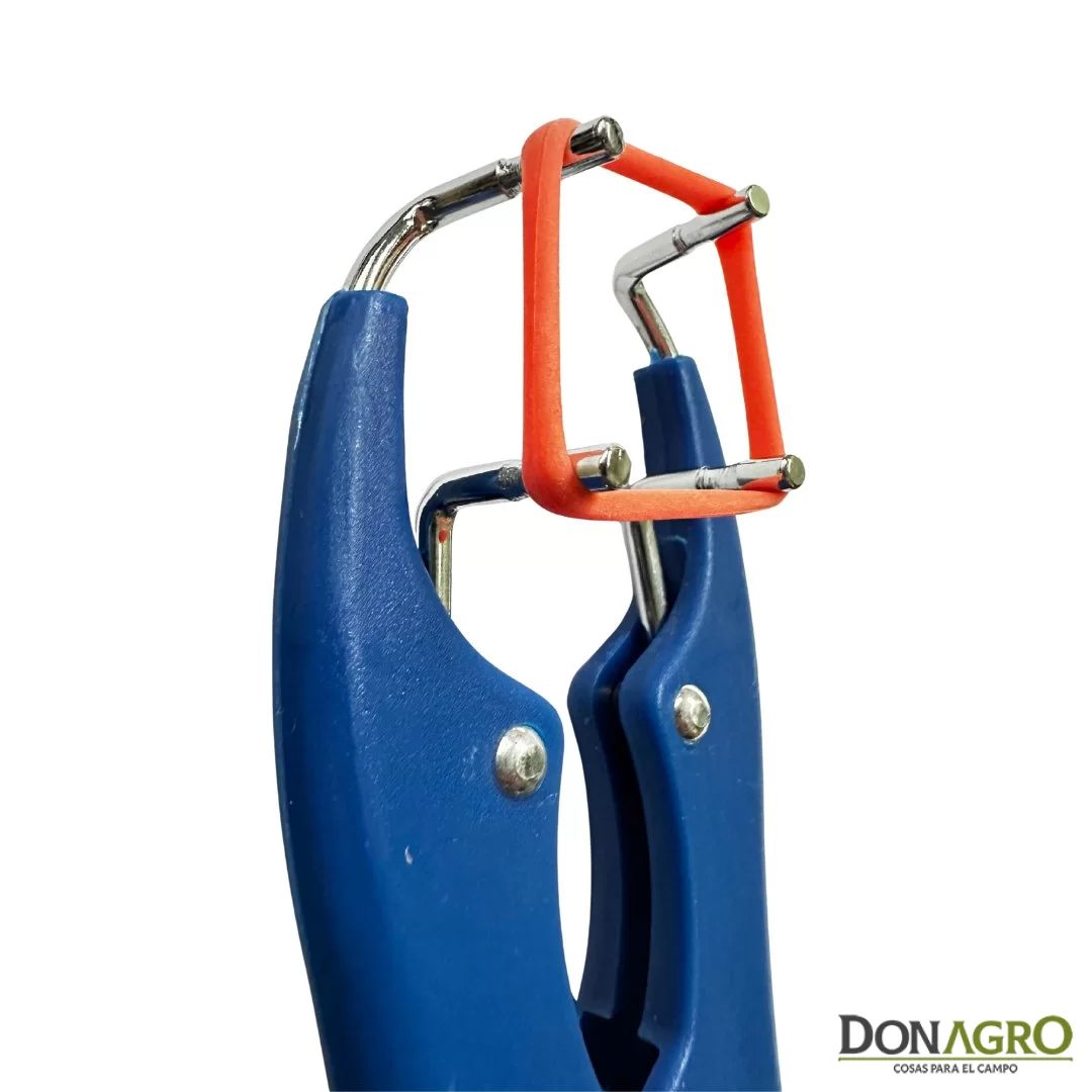 Pinza elastrator Castracion + 100 anillos