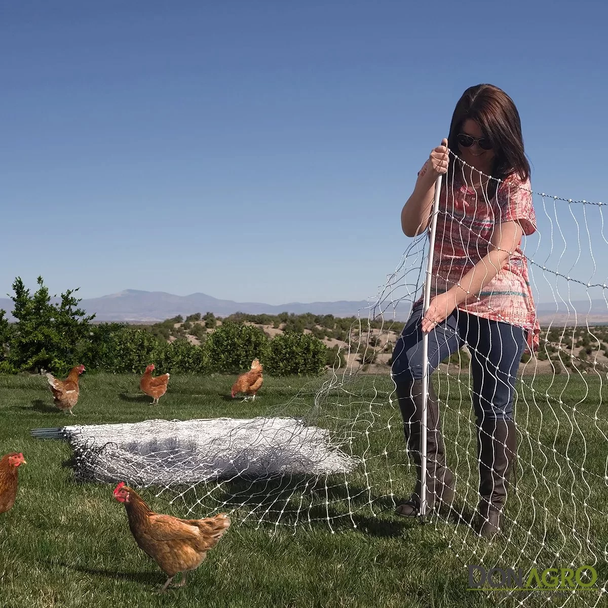 Red Malla para Gallinas GALLAGHER 112 cm alto X 50 MTS