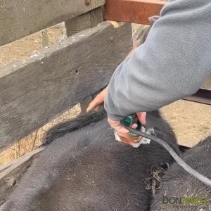 Marca para hacienda 12 volts LANCE
