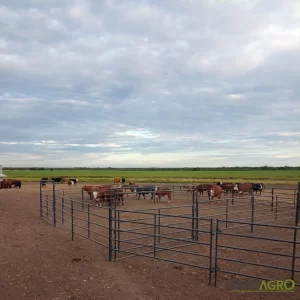 Panel para equinos 1.80 alto 5 rieles RINGO