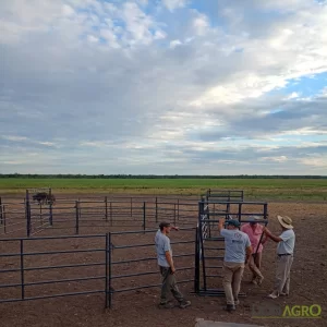 Puerta Alta para Equinos 1.80 alto 5 rieles RINGO