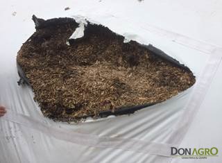 Cinta para reparación de silo bolsa Agro Adhesivo (caja)