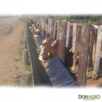 Comedero de membrana 800 micrones