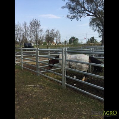 Panel Clipex para bovino 1.60 alto