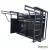 Balanza completa 3000 kgrs TRUTEST XR5000 + BASTON  (120 DIAS)