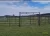 Corral Circular 10mts RINGO para equinos 1.80 alto
