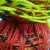 Red malla para ovinos San Miguel 0.90 cm alto x 50 mt.